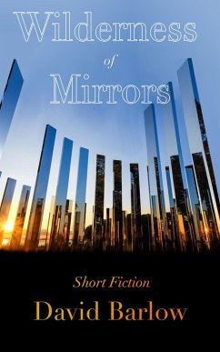 Wilderness of Mirrors (eBook, ePUB) - Barlow, David