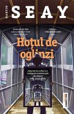 Hotul de oglinzi (eBook, ePUB)