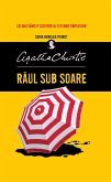 Raul sub soare (eBook, ePUB)