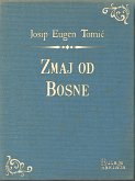 Zmaj od Bosne (eBook, ePUB)