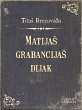 MatijaS grabancijaS dijak (eBook, ePUB) - Bild 1