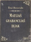 MatijaS grabancijaS dijak (eBook, ePUB)