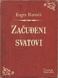 Zacudeni svatovi (eBook, ePUB) - Bild 1