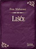 LiSce (eBook, ePUB)
