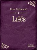 LiSce (eBook, ePUB) LiSce (eBook, ePUB)