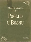 Pogled u Bosnu (eBook, ePUB)