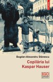 Copilăria lui Kaspar Hauser: povestiri (eBook, ePUB)