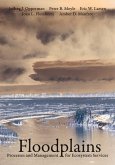 Floodplains (eBook, ePUB)
