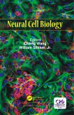 Neural Cell Biology (eBook, ePUB)