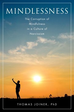 Cover Mindlessness (eBook, PDF)