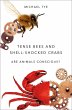 Tense Bees and Shell-Shocked Crabs... - Bild 1