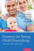 Contexts for Young Child Flourishing (eBook, PDF)