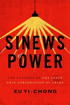 Sinews of Power (eBook, PDF) - Yi-Chong, Xu