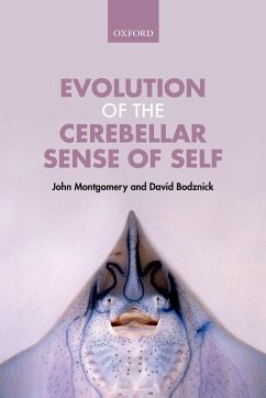 Evolution of the Cerebellar Sense of Self (eBook, PDF) - Montgomery, John; Bodznick, David