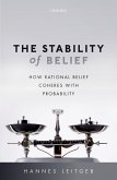 The Stability of Belief (eBook, PDF)