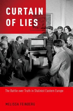 Cover Curtain of Lies (eBook, PDF)