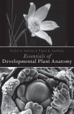 Essentials of Developmental Plant Anatomy (eBook, PDF)