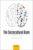 The Sociocultural Brain (eBook, PDF)