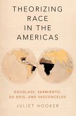 Theorizing Race in the Americas (eBook, PDF)
