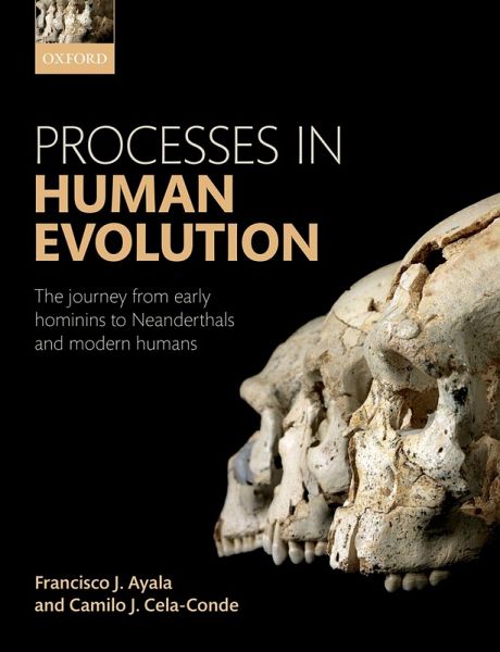 Processes in Human Evolution (eBook, PDF)