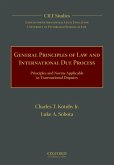 General Principles of Law and International Due Process (eBook, PDF)