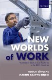 New Worlds of Work (eBook, PDF)