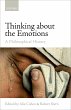 Thinking about the Emotions (eBook, PDF) - Bild 1