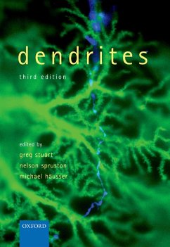 Cover Dendrites (eBook, PDF)