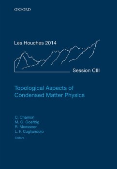Topological Aspects of Condensed Matter Physics (eBook, PDF)