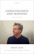 Consciousness and Meaning (eBook, PDF) - Bild 1