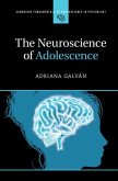 Neuroscience of Adolescence (eBook, PDF)