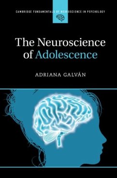 Cover Neuroscience of Adolescence (eBook, PDF)