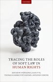 Tracing the Roles of Soft Law in Human Rights (eBook, PDF)