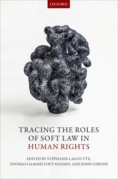 Cover Tracing the Roles of Soft Law in Human Rights (eBook, PDF)