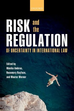 Cover Risk and the Regulation of Uncertainty in International Law (eBook, PDF)
