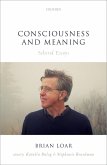 Consciousness and Meaning (eBook, ePUB)