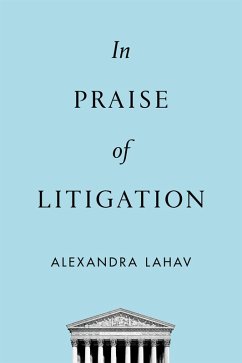 Cover In Praise of Litigation (eBook, PDF)