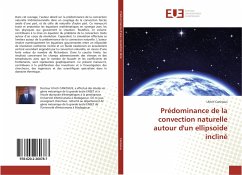 Prédominance de la convection naturelle autour d'un ellipsoïde incliné - Canissius, Ulrich