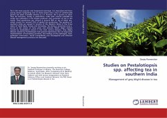 Studies on Pestalotiopsis spp. affecting tea in southern India