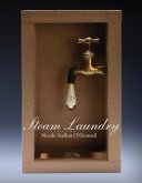 Steam Laundry (eBook, ePUB)