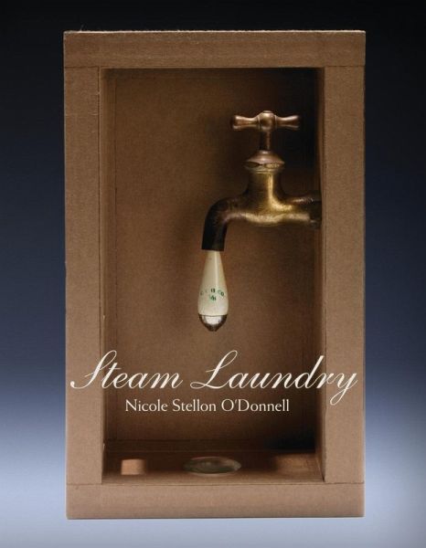 Steam Laundry (eBook, ePUB)