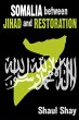 Somalia Between Jihad and Restoration... - Bild 1