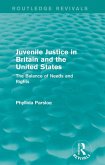 Juvenile Justice in Britain and the United States (eBook, PDF)