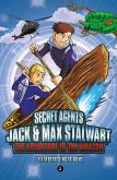 Secret Agents Jack and Max Stalwart: Book 2: The Adventure in the Amazon: Brazil (eBook, ePUB)