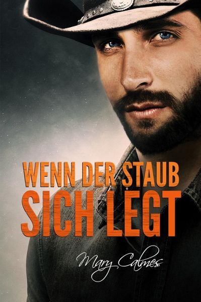 Wenn der Staub sich legt (eBook, ePUB) Wenn der Staub sich legt (eBook, ePUB)