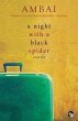 A Night with a Black Spider (eBook,... - Bild 1