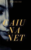 Caiu na net (eBook, ePUB)