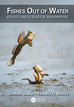 Cover Fishes Out of Water (eBook, ePUB)