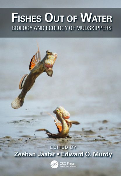 Fishes Out of Water (eBook, ePUB) Fishes Out of Water (eBook, ePUB)