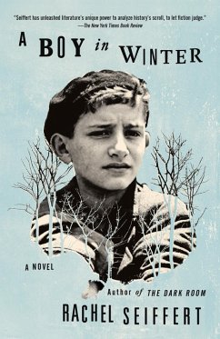 A Boy in Winter (eBook, ePUB) - Seiffert, Rachel